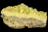Sulfur Crystal Cluster on Matrix - Nevada #69157-1